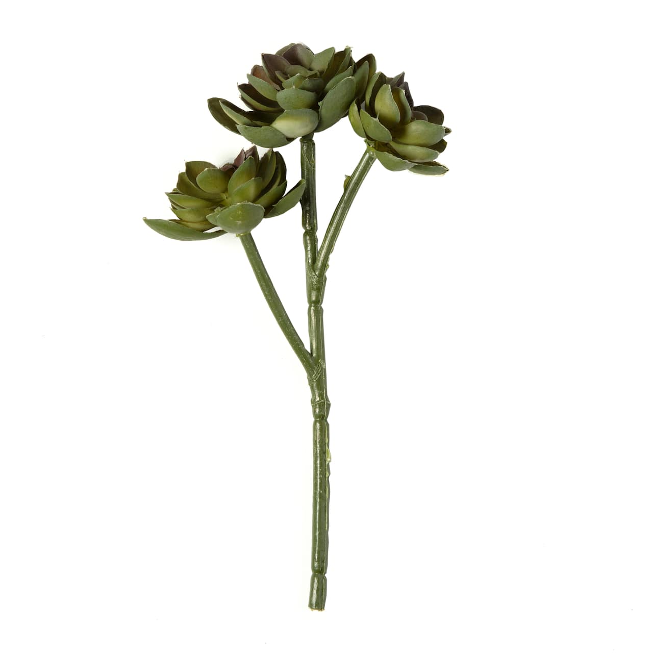 Ashland® Succulent Pick